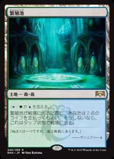 Mtg 解説記事 高橋優太 統率者オススメカード紹介 土地編 ラッシュメディア